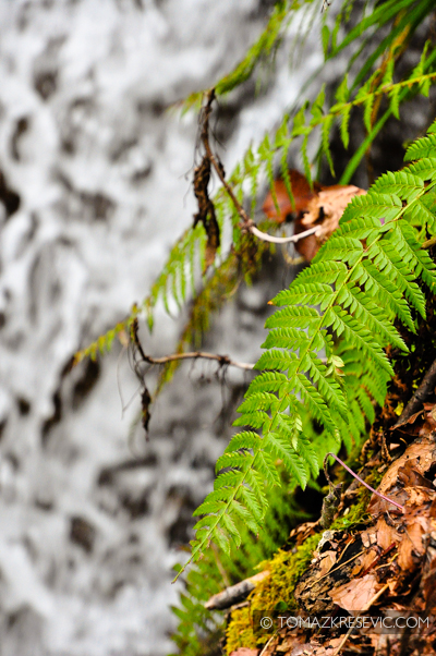 DSC_0594_828