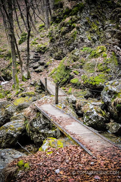 DSC_0605_838-Edit
